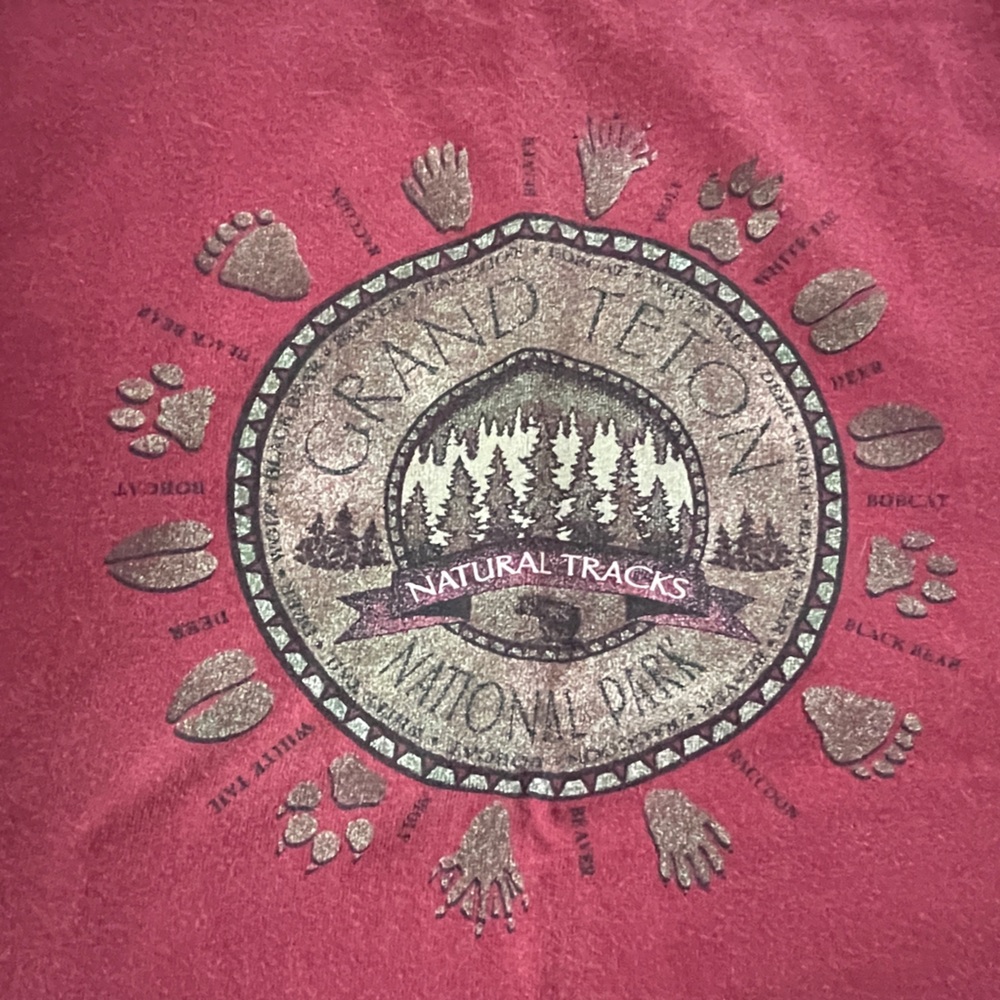 Prairie Mountain Grand Teton National Park T-Shirt Kids Size 14/16